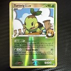 Turtwig GL