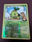 Turtwig GL