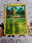 Tropius
