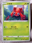 Paras