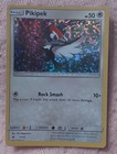 Pikipek