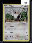 Pikipek