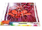 Awakenings