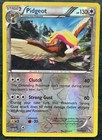 Pidgeot