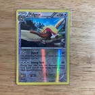 Pidgeot