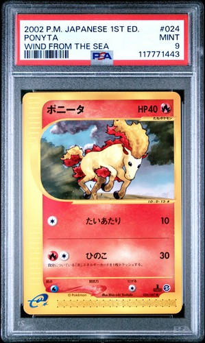 Ponyta