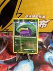 Lotad
