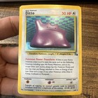 Ditto