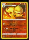 Arcanine