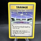 Cerulean City Gym