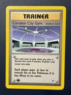 Cerulean City Gym