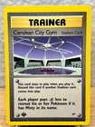 Cerulean City Gym