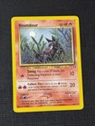 Houndour