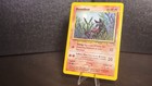 Houndour