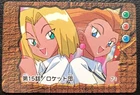 Team Rocket's Sneasel
