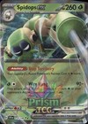 Spidops ex