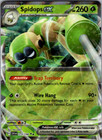 Spidops ex