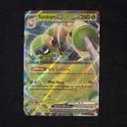 Spidops ex