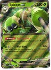 Spidops ex