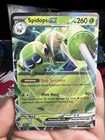 Spidops ex