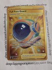 Full Face Guard