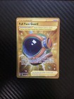 Full Face Guard