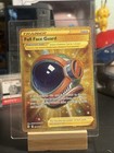 Full Face Guard