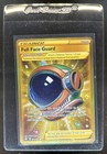 Full Face Guard