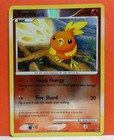 Torchic