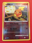 Torchic