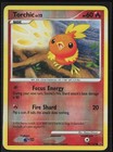 Torchic