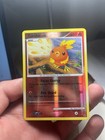 Torchic