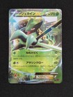 Sceptile EX