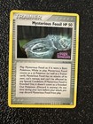 Mysterious Fossil
