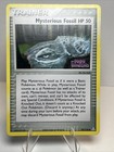 Mysterious Fossil