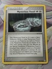 Mysterious Fossil
