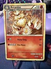 Arcanine