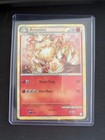 Arcanine