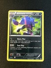 Zoroark