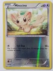 Minccino