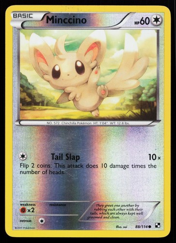 Minccino