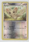 Minccino