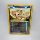 Minccino