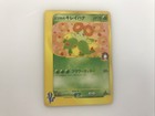 Erika's Bellossom