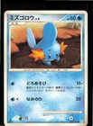 Mudkip