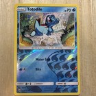 Totodile