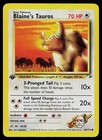 Blaine's Tauros