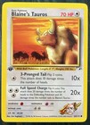 Blaine's Tauros