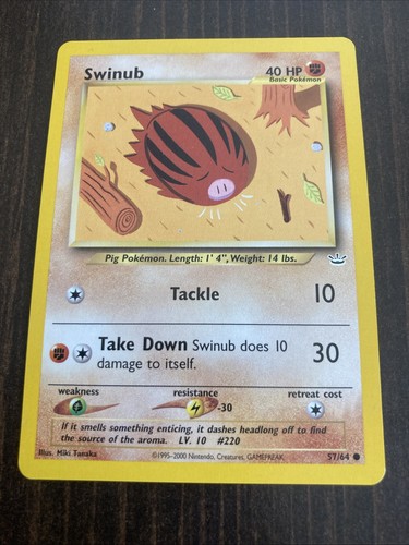 Swinub