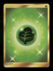 Grass Energy